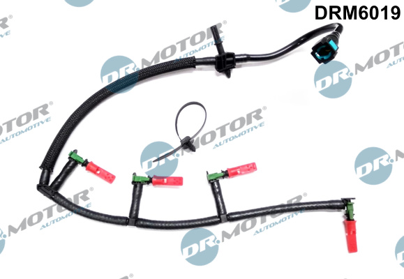 DR.MOTOR AUTOMOTIVE Slange drm6019 for FORD LANCIA