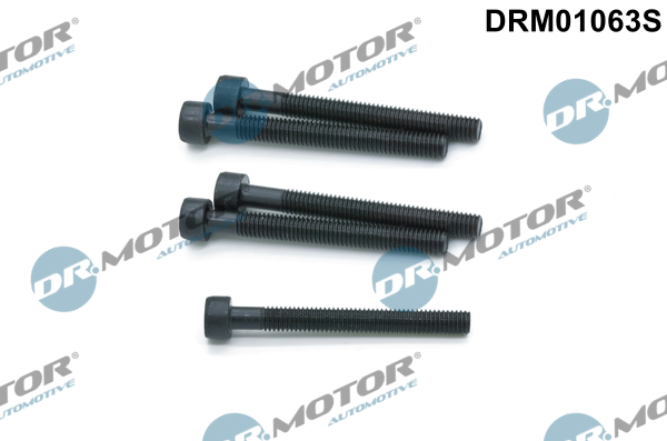 DR.MOTOR AUTOMOTIVE Skrue, indsprøjtningsdyseholder drm01063s for VW