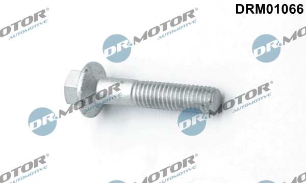 DR.MOTOR AUTOMOTIVE Skrue, indsprøjtningsdyseholder drm01066 for FORD