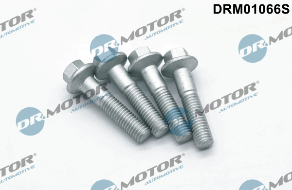 DR.MOTOR AUTOMOTIVE Skrue, indsprøjtningsdyseholder drm01066s for FORD