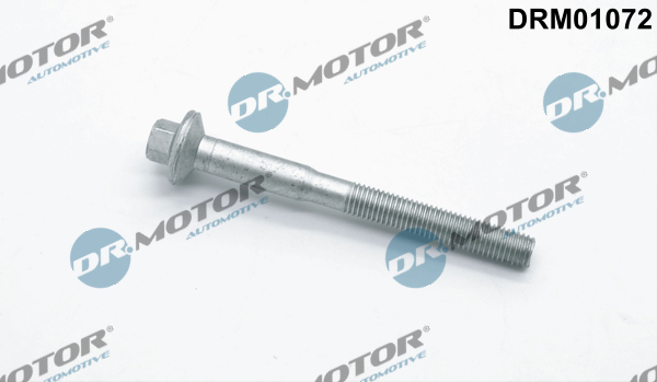 DR.MOTOR AUTOMOTIVE Skrue, indsprøjtningsdyseholder drm01072 for FORD PEUGEOT
