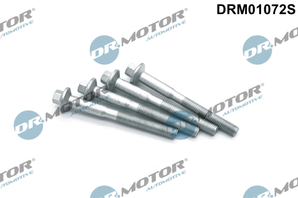 DR.MOTOR AUTOMOTIVE Skrue, indsprøjtningsdyseholder drm01072s for FORD PEUGEOT