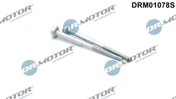 DR.MOTOR AUTOMOTIVE Skrue, indsprøjtningsdyseholder drm01078s for VW