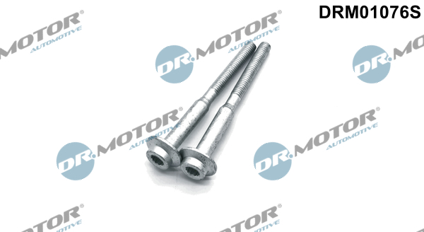 DR.MOTOR AUTOMOTIVE Skrue, indsprøjtningsdyseholder drm01076s for VW