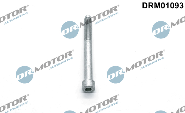 DR.MOTOR AUTOMOTIVE Skrue, indsprøjtningsdyseholder drm01093 for FORD PEUGEOT