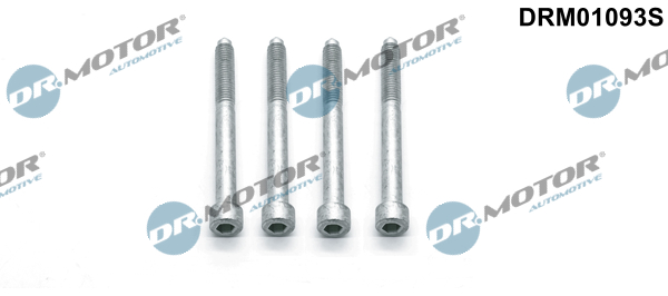 DR.MOTOR AUTOMOTIVE Skrue, indsprøjtningsdyseholder drm01093s for FORD PEUGEOT