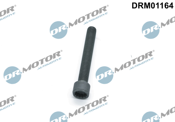 DR.MOTOR AUTOMOTIVE Skrue, indsprøjtningsdyseholder drm01164 for VW
