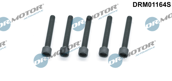 DR.MOTOR AUTOMOTIVE Skrue, indsprøjtningsdyseholder drm01164s for VW