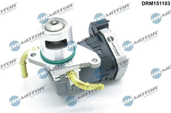 DR.MOTOR AUTOMOTIVE EGR-ventil drm151103 for OPEL