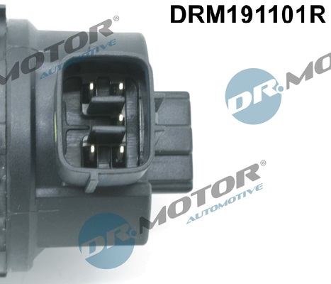 DR.MOTOR AUTOMOTIVE EGR-ventil drm191101r for MITSUBISHI