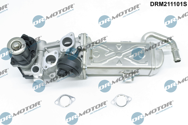DR.MOTOR AUTOMOTIVE EGR-ventil drm211101s for VW