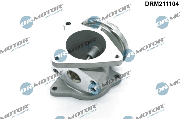 DR.MOTOR AUTOMOTIVE EGR-ventil drm211104 for VW MITSUBISHI