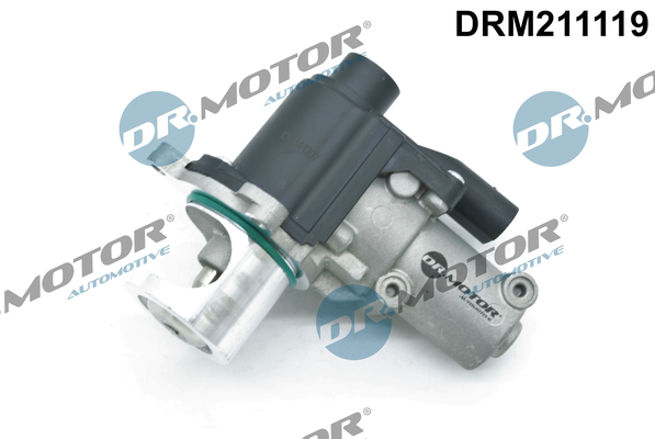 DR.MOTOR AUTOMOTIVE EGR-ventil drm211119 for VW