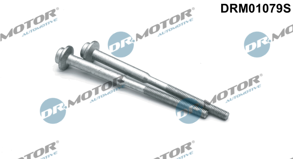 DR.MOTOR AUTOMOTIVE Skrue, indsprøjtningsdyseholder drm01079s for VW