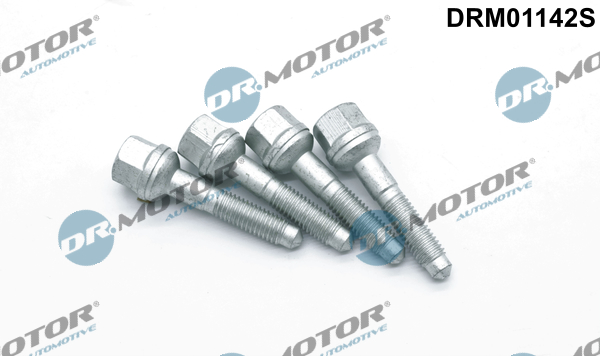 DR.MOTOR AUTOMOTIVE Skrue, indsprøjtningsdyseholder drm01142s for PEUGEOT