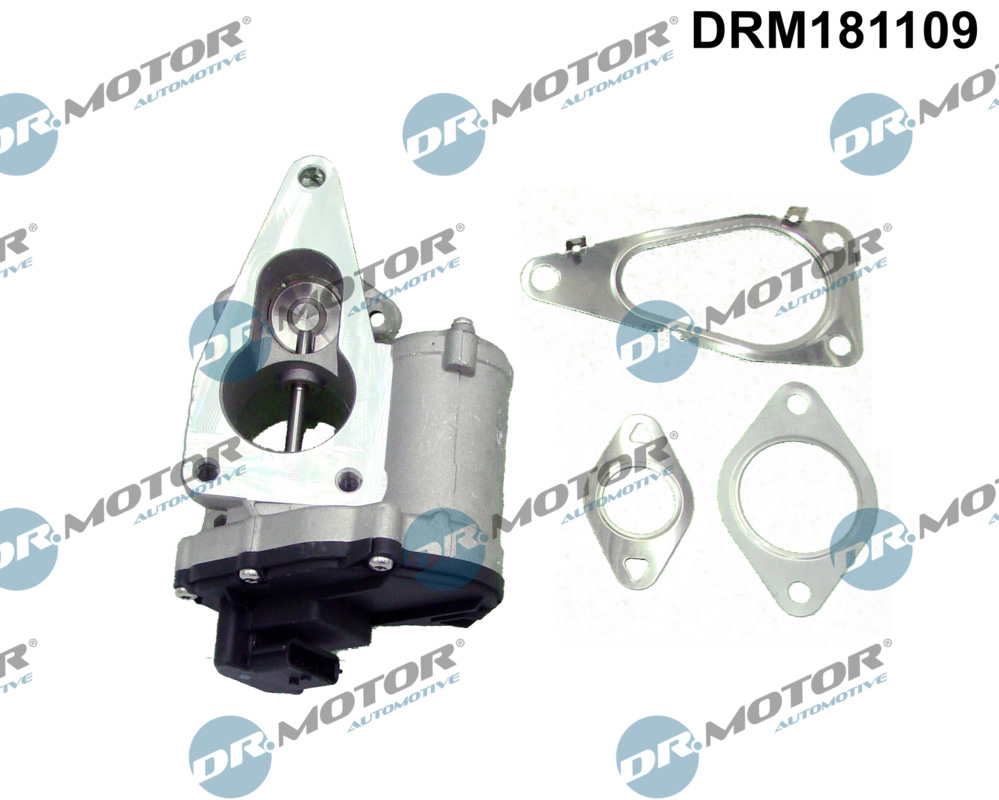 DR.MOTOR AUTOMOTIVE EGR-ventil drm181109 for RENAULT SUZUKI