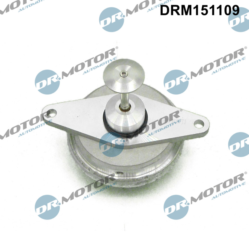 DR.MOTOR AUTOMOTIVE EGR-ventil drm151109 for OPEL
