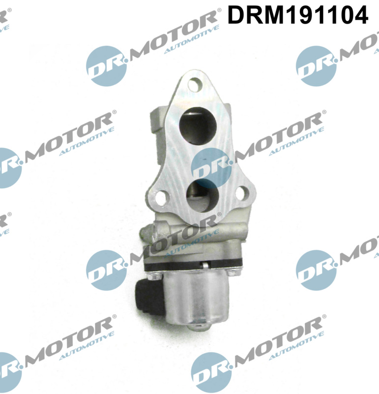 DR.MOTOR AUTOMOTIVE EGR-ventil drm191104 for TOYOTA
