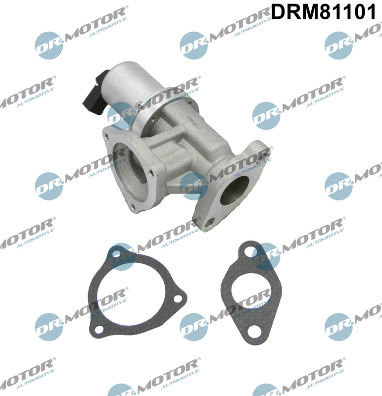 DR.MOTOR AUTOMOTIVE EGR-ventil drm81101 for KIA