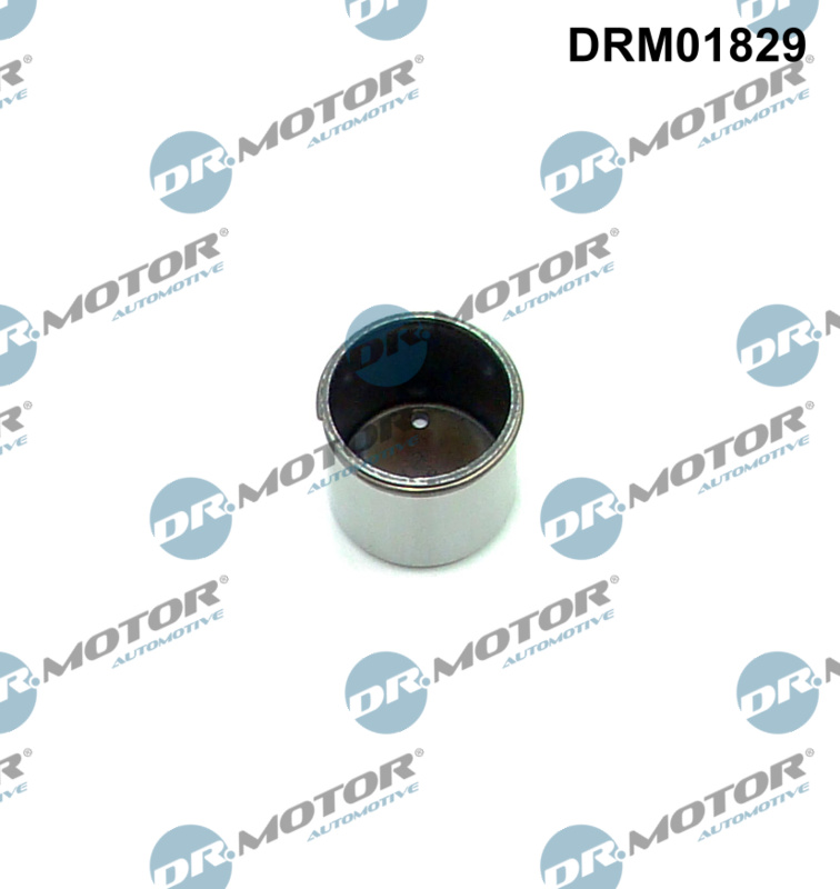 DR.MOTOR AUTOMOTIVE Ventil, højtrykspumpe drm01829 for VW