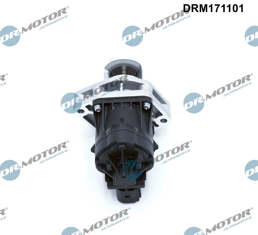 DR.MOTOR AUTOMOTIVE EGR-ventil drm171101 for MASERATI CHRYSLER LANCIA