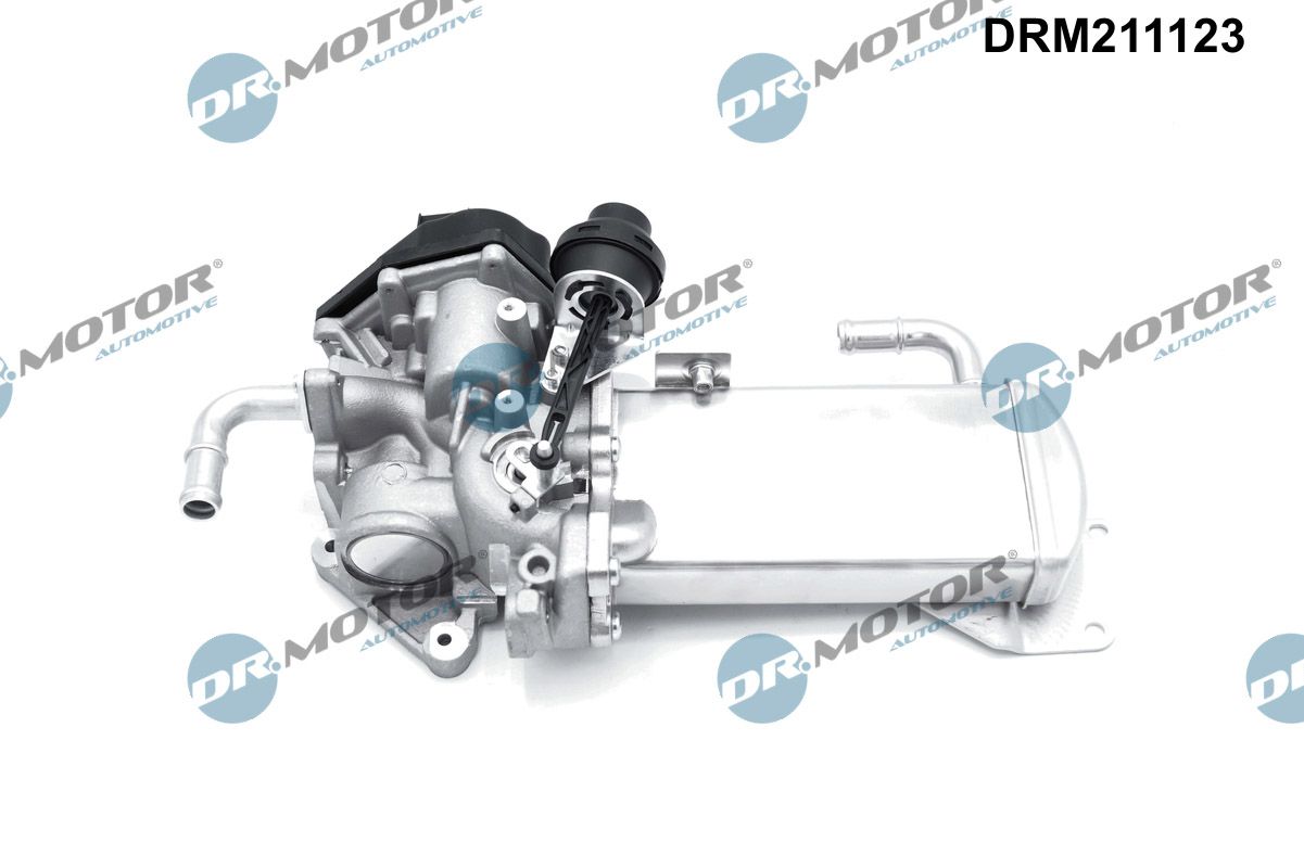DR.MOTOR AUTOMOTIVE EGR-ventil drm211123 for VW