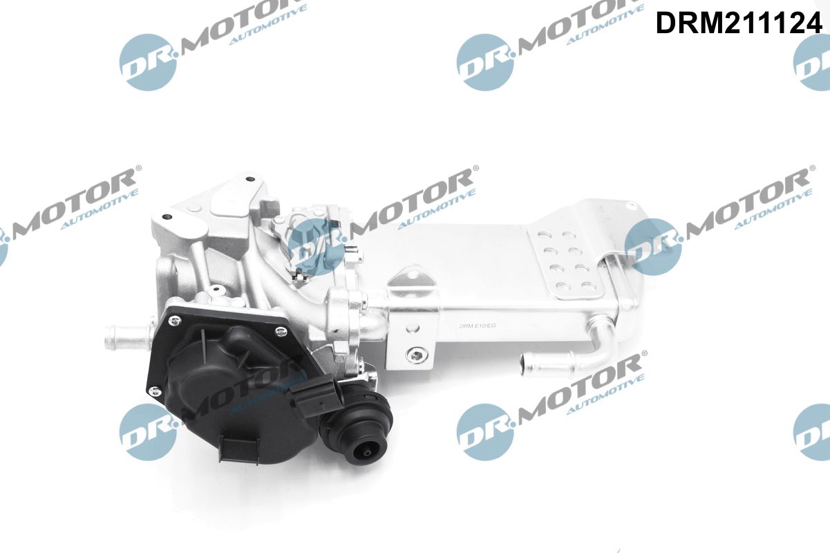 DR.MOTOR AUTOMOTIVE EGR-ventil drm211124 for AUDI