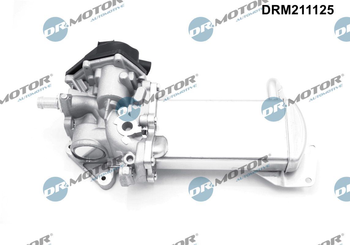 DR.MOTOR AUTOMOTIVE EGR-ventil drm211125 for VW