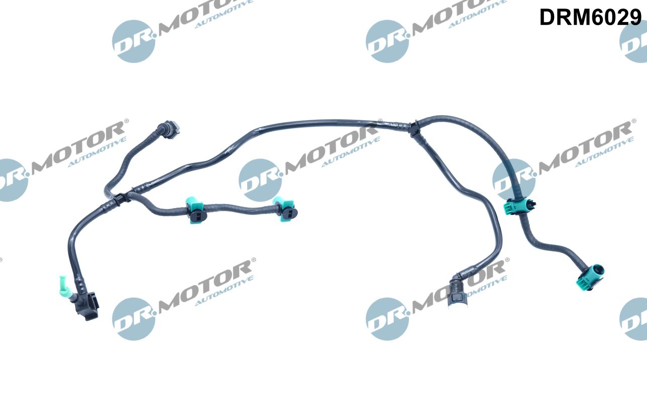 DR.MOTOR AUTOMOTIVE Slange drm6029 for FORD