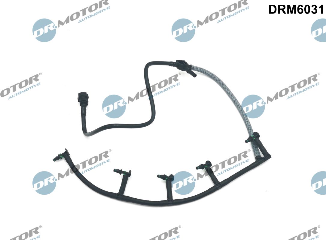 DR.MOTOR AUTOMOTIVE Slange DRM6031 for FORD