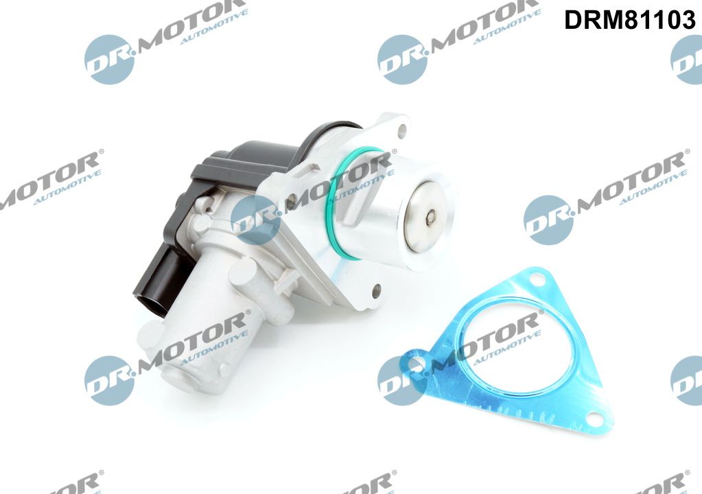 DR.MOTOR AUTOMOTIVE EGR-ventil drm81103 for KIA