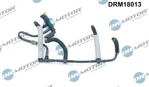 DR.MOTOR AUTOMOTIVE Slange drm18013 for RENAULT