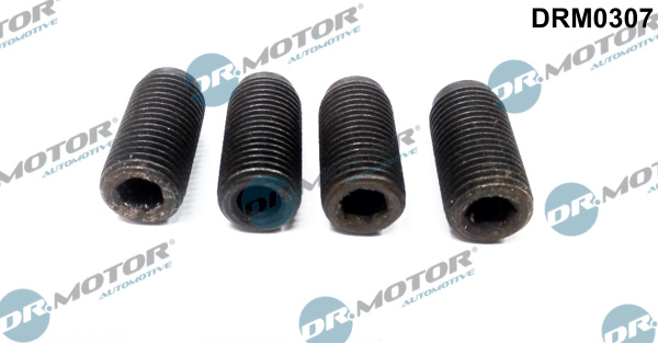 DR.MOTOR AUTOMOTIVE Justerskrue, indsprøjtningspumpe drm0307 for VW