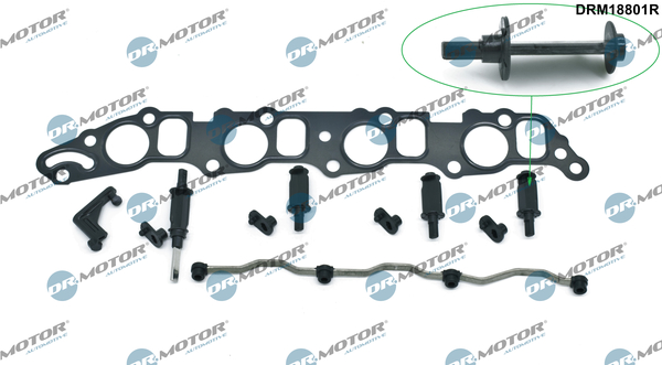 DR.MOTOR AUTOMOTIVE Reparationssæt, induktionsrørmodul drm18801r for OPEL FIAT