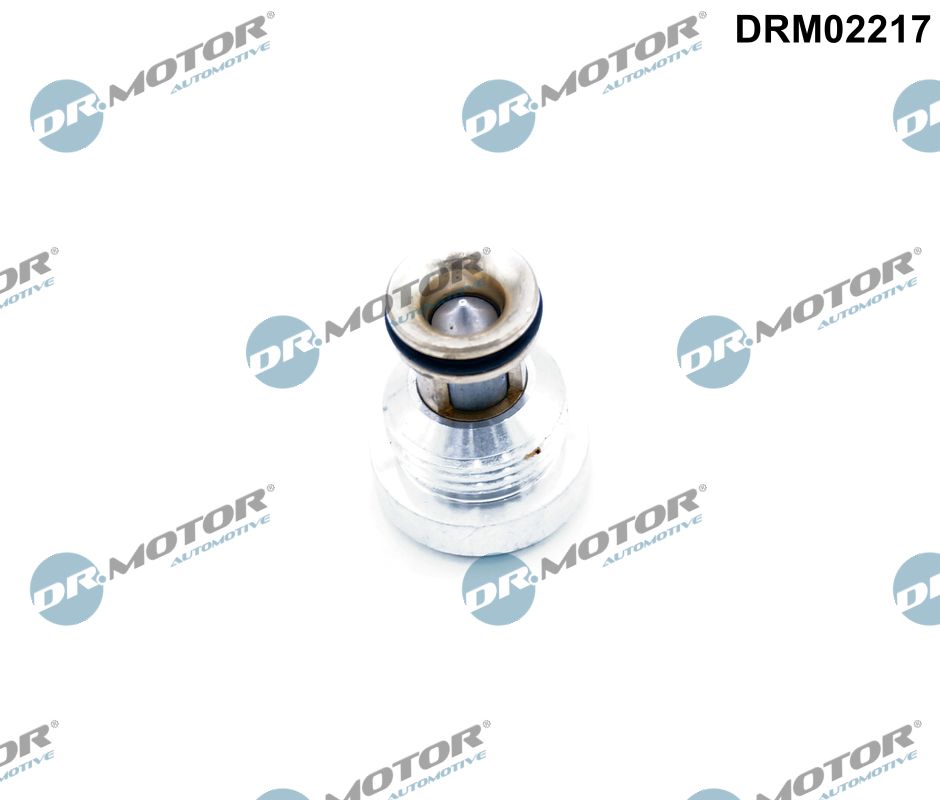 DR.MOTOR AUTOMOTIVE Tilbageslagsventil drm02217 Motorblok for VW