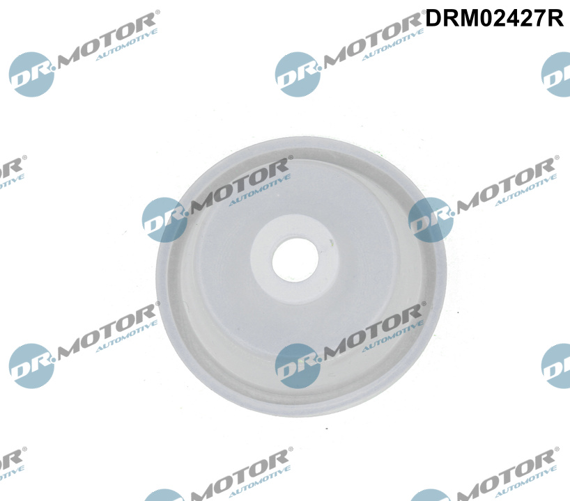 DR.MOTOR AUTOMOTIVE Kontrolventil, luftindtag drm02427r for BMW