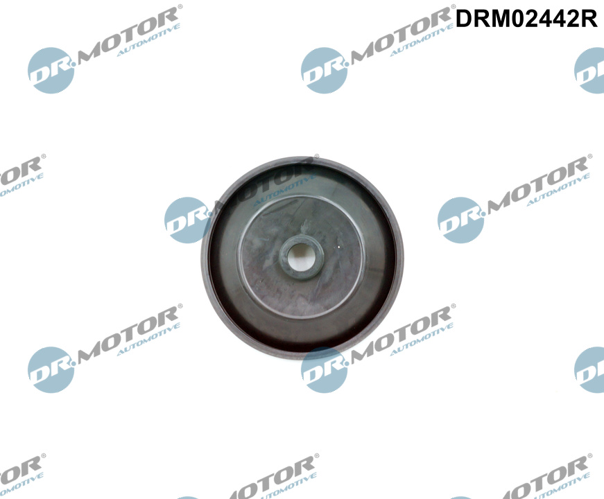 DR.MOTOR AUTOMOTIVE Kontrolventil, luftindtag drm02442r for BMW