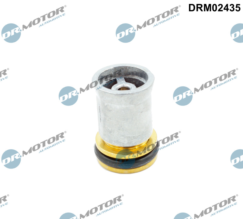 DR.MOTOR AUTOMOTIVE Tilbageslagsventil drm02435 Cylinderhoved for VW