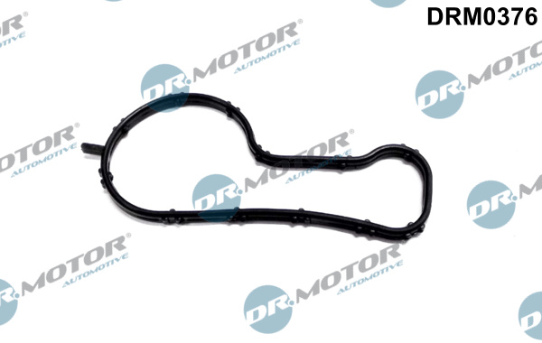 DR.MOTOR AUTOMOTIVE Pakning, termostathus drm0376 for FORD