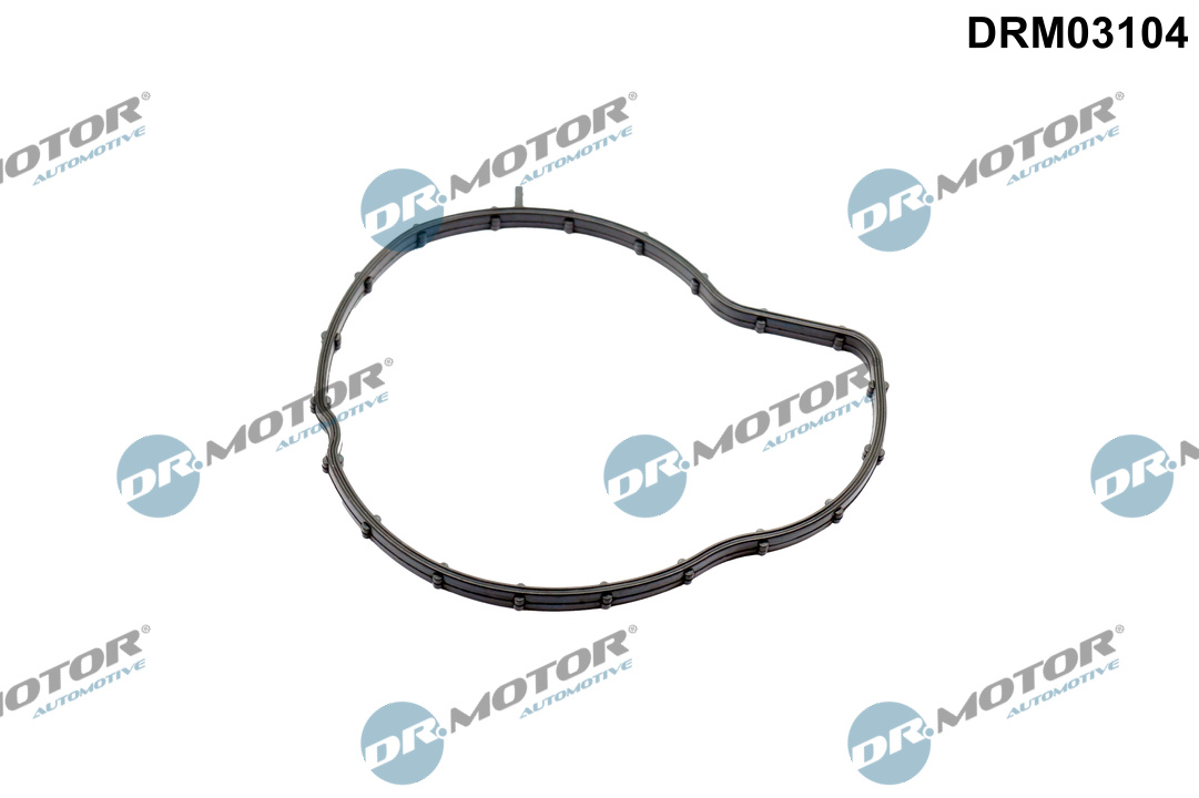 DR.MOTOR AUTOMOTIVE Pakning, vandpumpe drm03104 for OPEL PEUGEOT TOYOTA