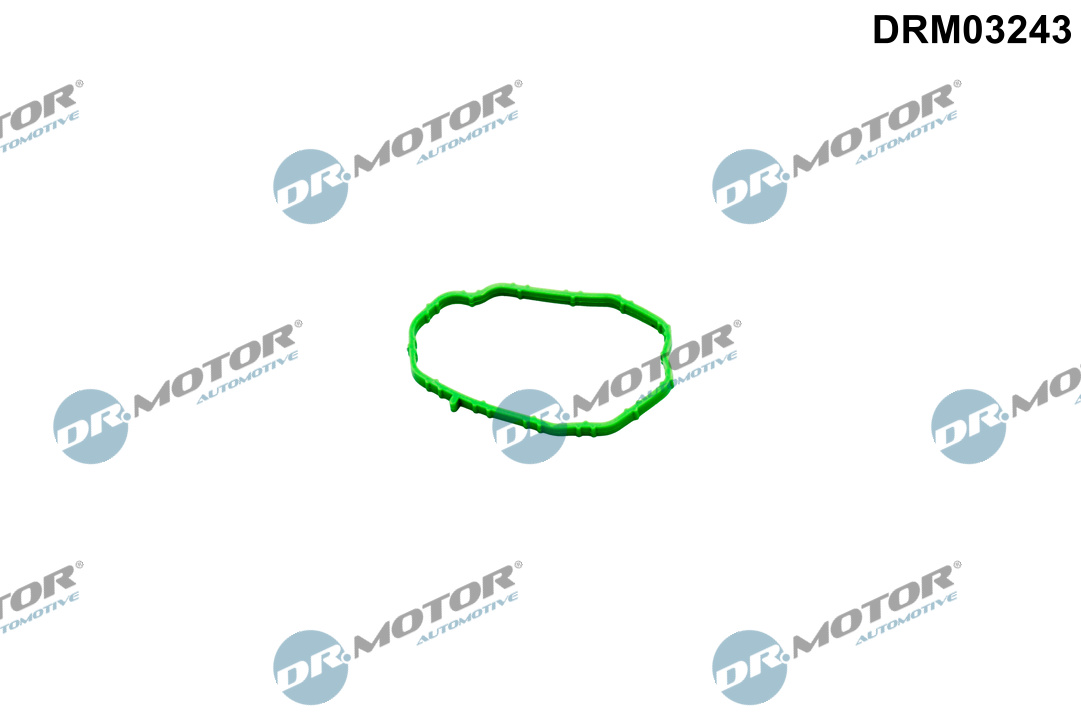 DR.MOTOR AUTOMOTIVE Pakning, termostathus DRM03243 for DS FORD FIAT TOYOTA