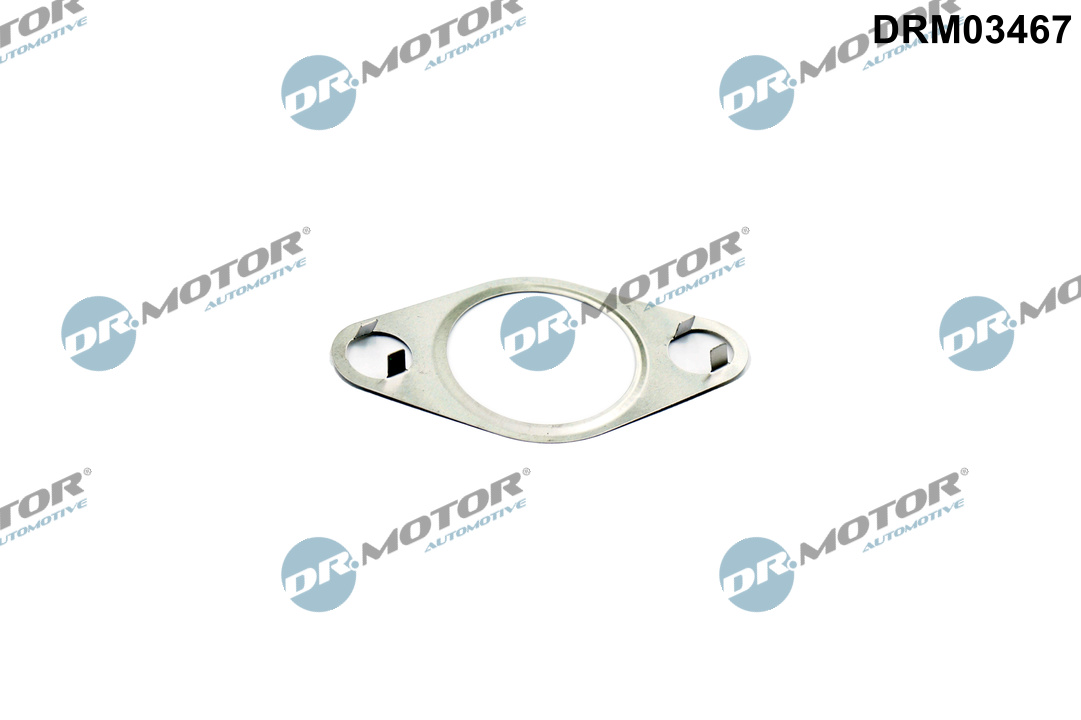 DR.MOTOR AUTOMOTIVE Pakning, AGR (EGR)-ventil drm03467 for FORD