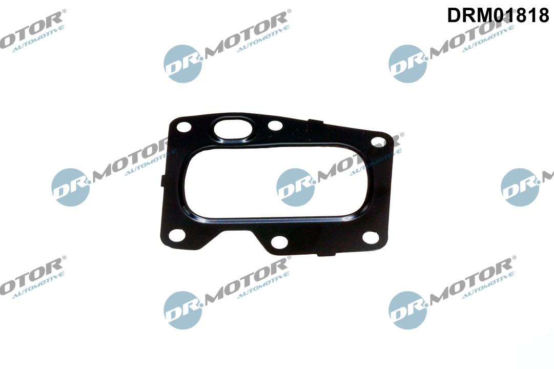 DR.MOTOR AUTOMOTIVE Pakning, AGR (EGR)-ventil drm01818 for PEUGEOT