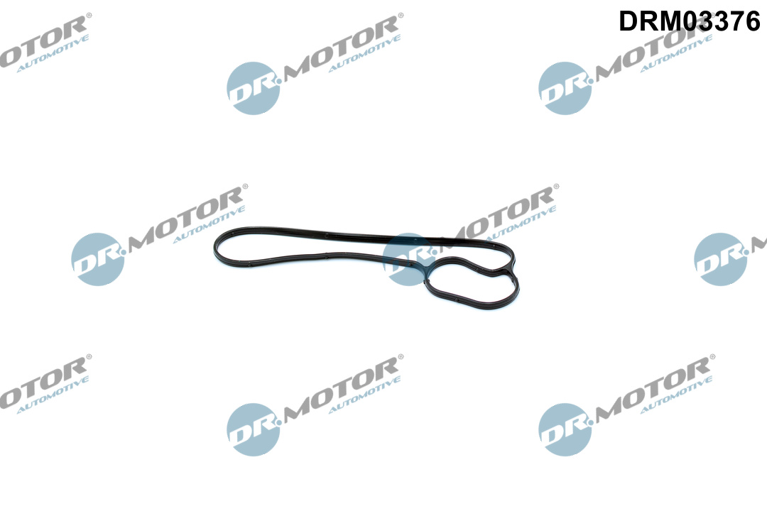 DR.MOTOR AUTOMOTIVE Pakning, vandpumpe DRM03376 for BMW