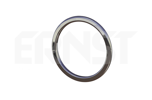 ERNST 499569 for FORD