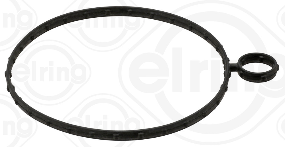 ELRING Pakning, vakuumpumpe 038620 for FORD USA
