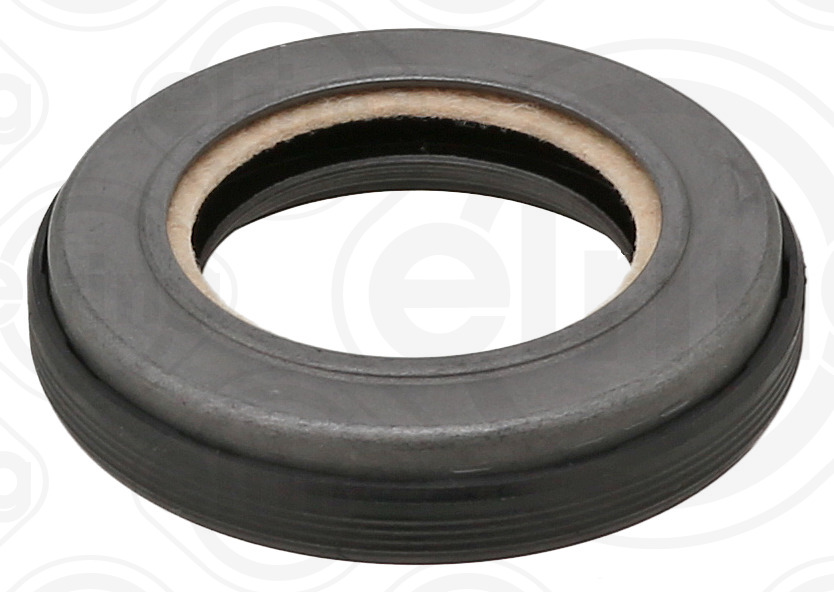 ELRING Pakningsring 843.670 for PORSCHE