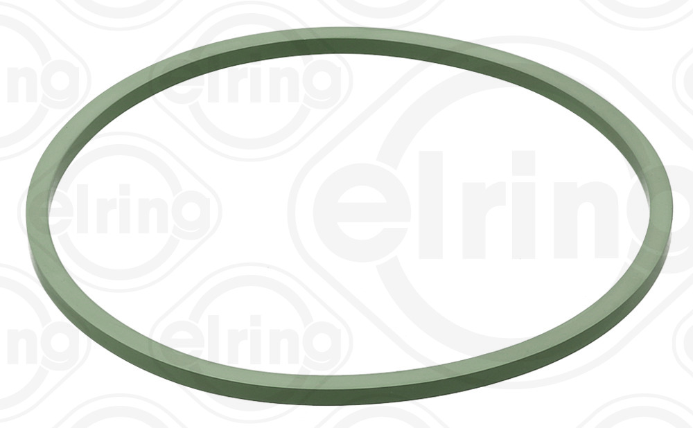 ELRING Pakningsring 851670 for IVECO