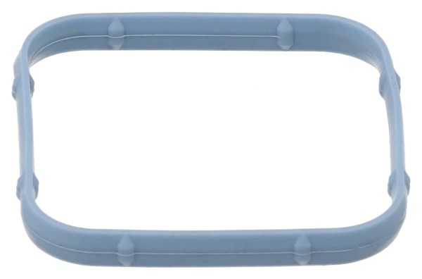 ELRING Pakning, indsugningsmanifold 907570 for RAM