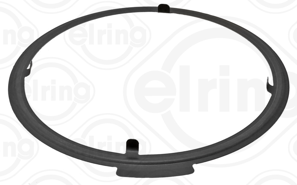ELRING Pakning, AGR (EGR)-ventil 005250 efter partikelfilter for CUPRA